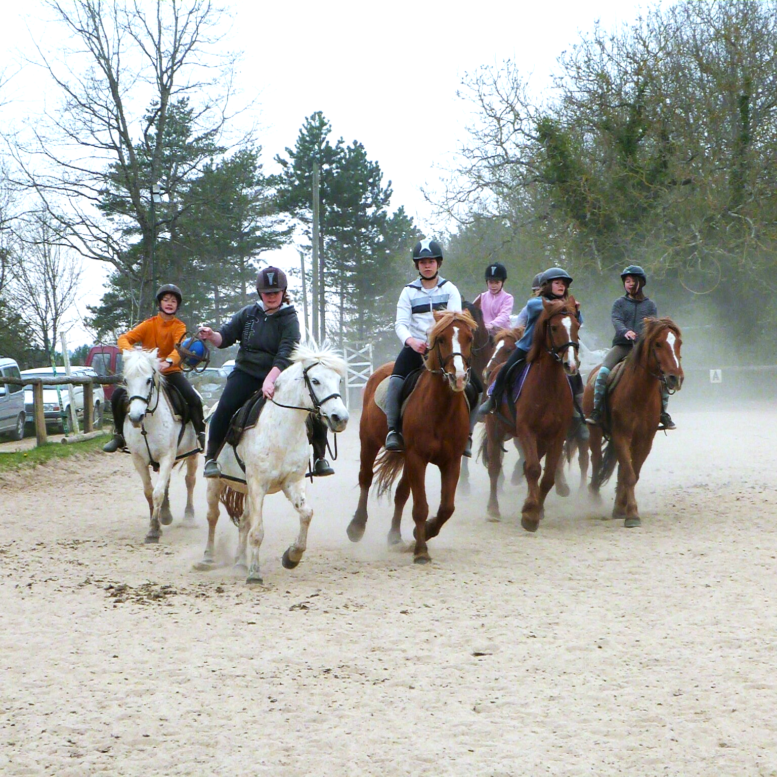 photo de stage d'équitation